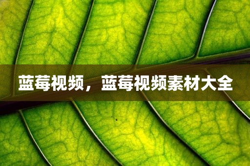 蓝莓视频，蓝莓视频素材大全