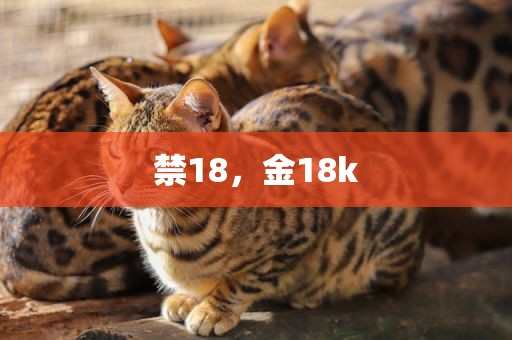 禁18，金18k
