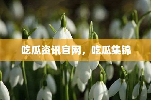 吃瓜资讯官网，吃瓜集锦