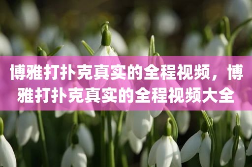 博雅打扑克真实的全程视频，博雅打扑克真实的全程视频大全
