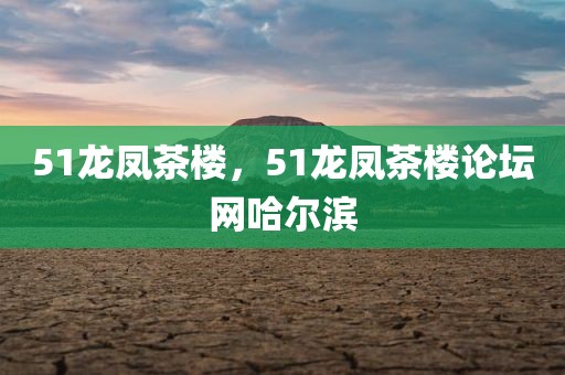 51龙凤茶楼，51龙凤茶楼论坛网哈尔滨