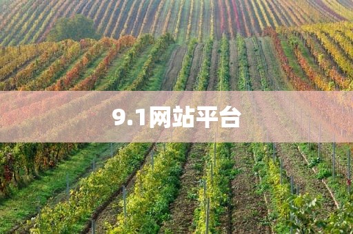 9.1网站平台
