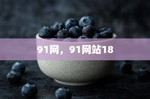 91网，91网站18