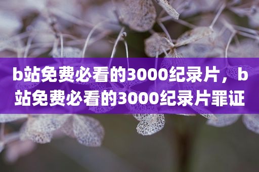 b站免费必看的3000纪录片，b站免费必看的3000纪录片罪证