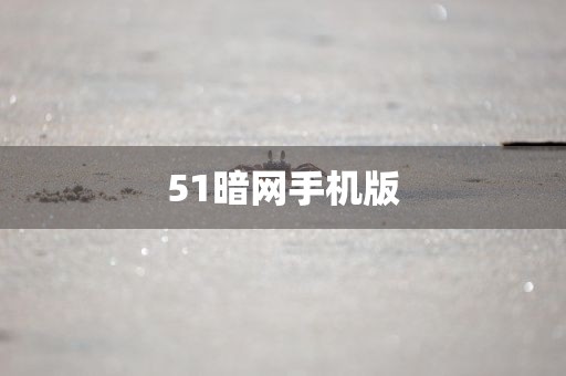 51暗网手机版