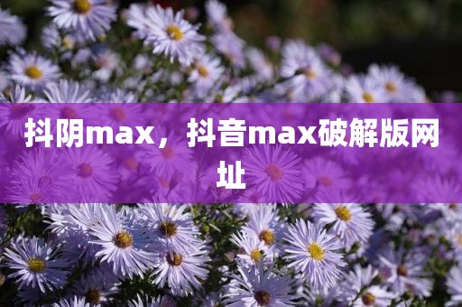 抖阴max，抖音max破解版网址