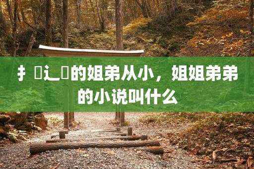 扌臿辶畐的姐弟从小，姐姐弟弟的小说叫什么