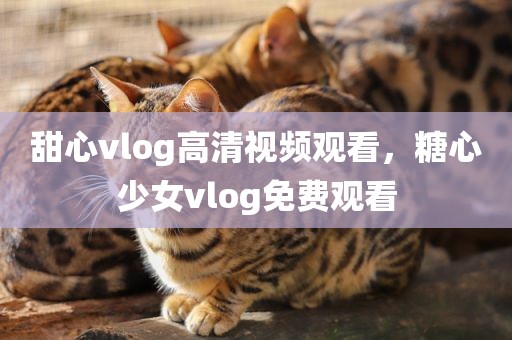 甜心vlog高清视频观看，糖心少女vlog免费观看