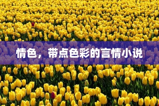 情色，带点色彩的言情小说