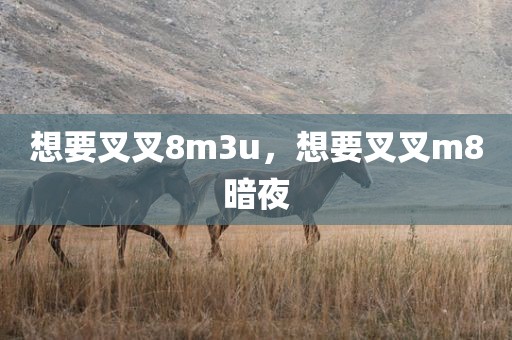 想要叉叉8m3u，想要叉叉m8暗夜