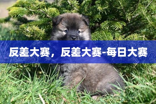 反差大赛，反差大赛-每日大赛