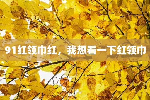 91红领巾红，我想看一下红领巾