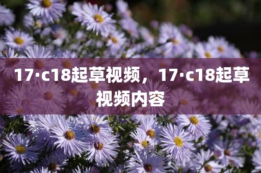 17·c18起草视频，17·c18起草视频内容