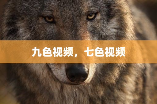 九色视频，七色视频