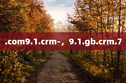 .com9.1.crm-，9.1.gb.crm.7
