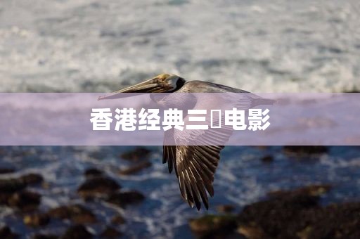 香港经典三㚫电影
