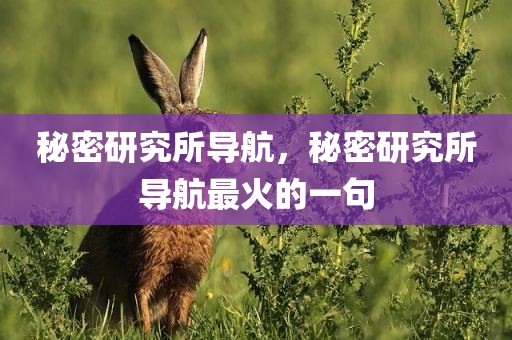 秘密研究所导航，秘密研究所导航最火的一句