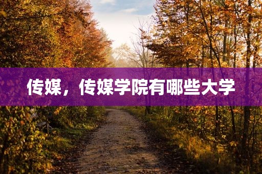 传媒，传媒学院有哪些大学