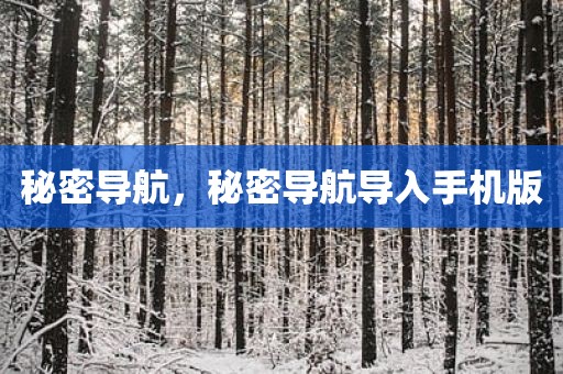 秘密导航，秘密导航导入手机版