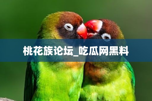 桃花族论坛_吃瓜网黑料