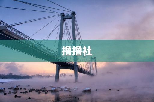 撸撸社