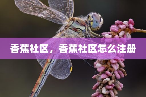 香蕉社区，香蕉社区怎么注册