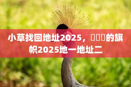 小草找回地址2025，逹葢薾的旗帜2025地一地址二