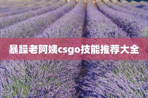 暴躁老阿姨csgo技能推荐大全
