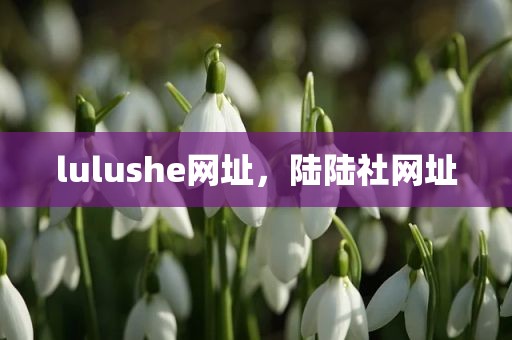 lulushe网址，陆陆社网址