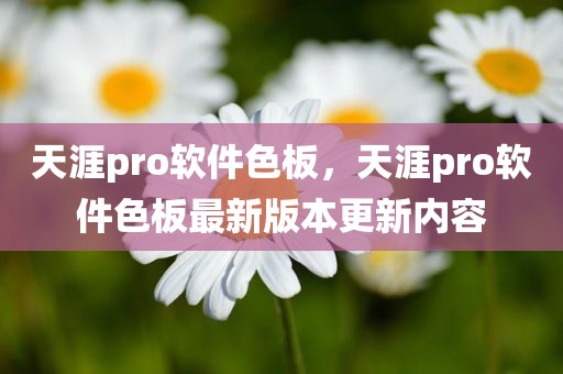 天涯pro软件色板，天涯pro软件色板最新版本更新内容