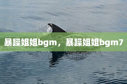 暴躁姐姐bgm，暴躁姐姐bgm7
