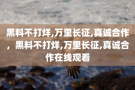 黑料不打烊,万里长征,真诚合作，黑料不打烊,万里长征,真诚合作在线观看