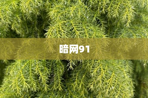 暗网91