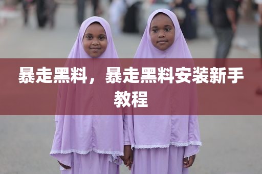 暴走黑料，暴走黑料安装新手教程