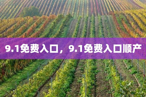 9.1免费入口，9.1免费入口顺产