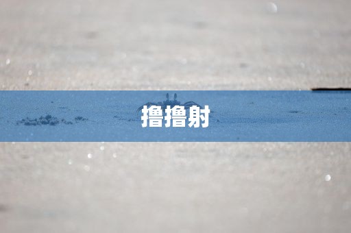 撸撸射