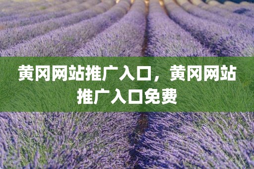 黄冈网站推广入口，黄冈网站推广入口免费