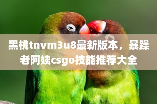 黑桃tnvm3u8最新版本，暴躁老阿姨csgo技能推荐大全
