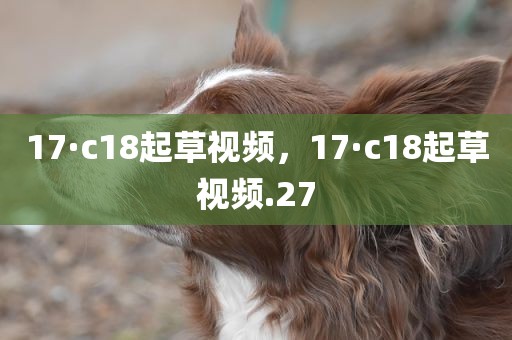 17·c18起草视频，17·c18起草视频.27