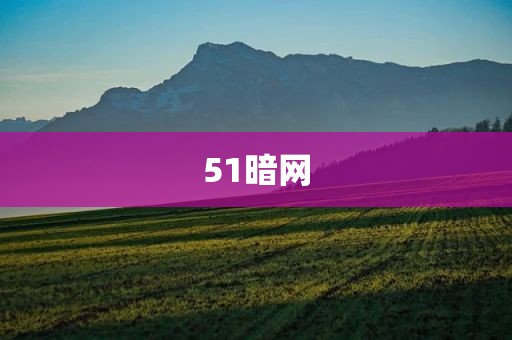 51暗网