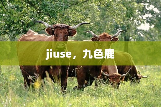 jiuse，九色鹿