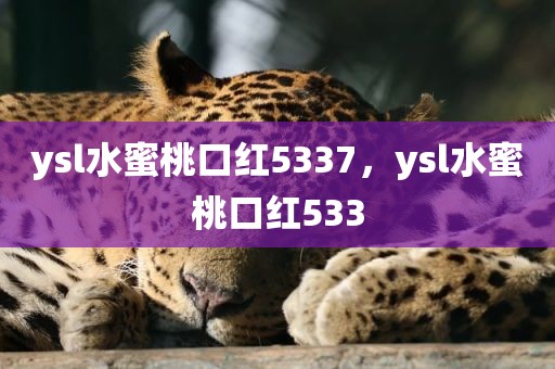 ysl水蜜桃口红5337，ysl水蜜桃口红533
