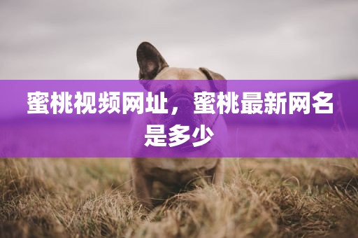 蜜桃视频网址，蜜桃最新网名是多少