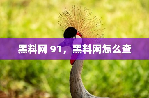黑料网 91，黑料网怎么查
