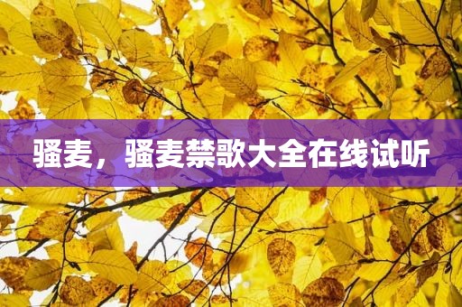 骚麦，骚麦禁歌大全在线试听
