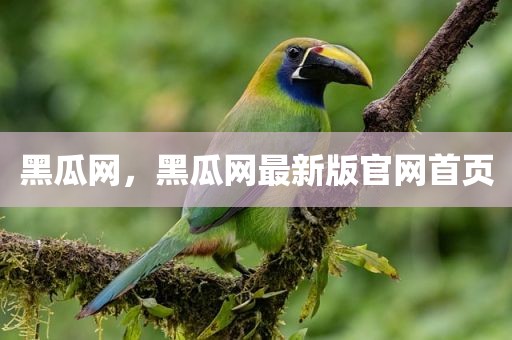 黑瓜网，黑瓜网最新版官网首页