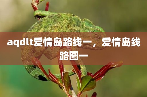 aqdlt爱情岛路线一，爱情岛线路图一