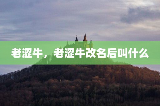 老涩牛，老涩牛改名后叫什么