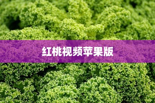 红桃视频苹果版