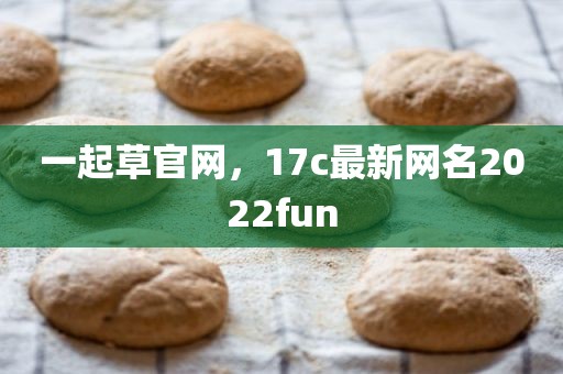 一起草官网，17c最新网名2022fun